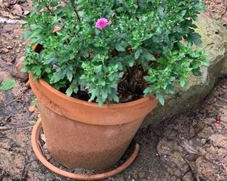 Clay pot with flowers