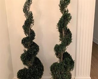 Pair of Spiral Topiary Trees - $150 - 76"H x 13"W