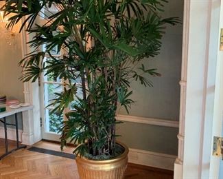 Pair of Large Palm Trees in Gold Planters - $200 - Dimensions to come