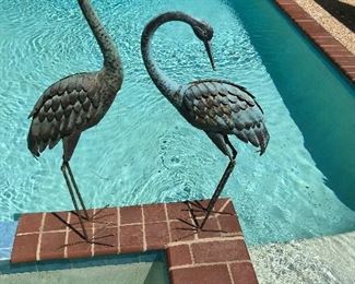 Cool Cranes...Egrets