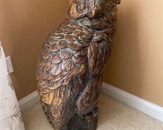 Wood Owl, has injury missing a chunk of his ear!