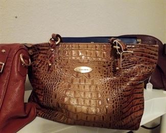 Brahmin Purse