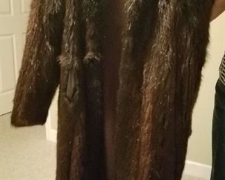 Beaver coat