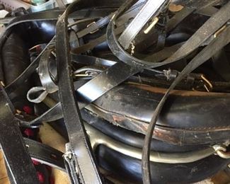 more harness in good condition