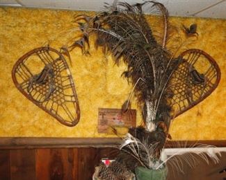 Vintage Snowshoes, peacock feathers