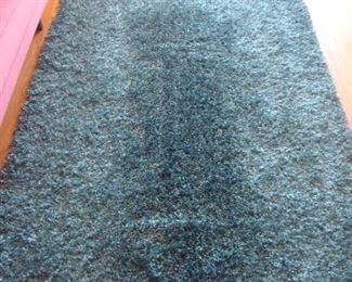 Living Room:  The two-tone blue "shag" rug measures  5' 2" x  7' 7."