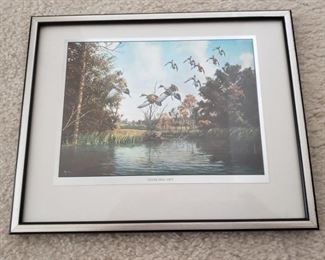 8.5" x 10.5"