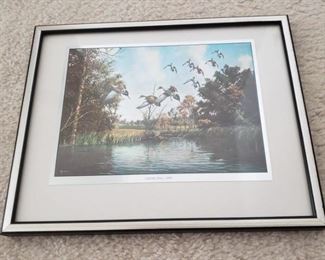 8.5" x 10.5"