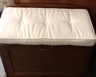 Storage / Padded Seat