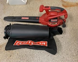Craftsman Leaf Blower - $25