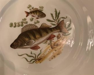 Alternate view - Set of JWK Bavaria Fish Plates and Platters - $300 - 24 Plates at 10", 4 Platters at 15"x11"