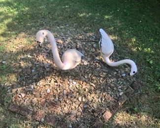 Yard Flamingos 