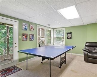 ping pong table