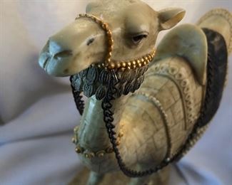 Cool Camel
