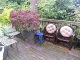 Vintage Copper Apple Cauldron with japanese maple