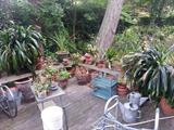 Indoor plants -save us please