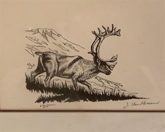 Alaskan Moose Drawing