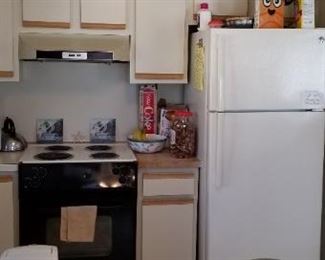 Clean & modern kitchen cabinets; new fridge!