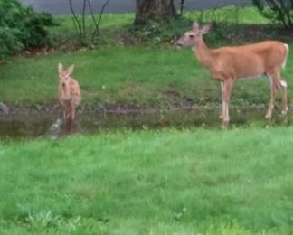 Ahhh! To cool the feet...