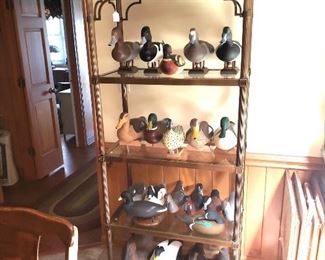 Large duck decoy collection