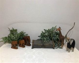 Safari