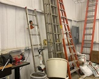 Garden pots, extension ladder