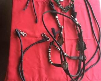 Horse Bridle I
