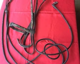 Horse Bridle II