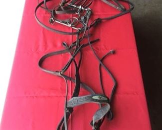 Horse Bridle III