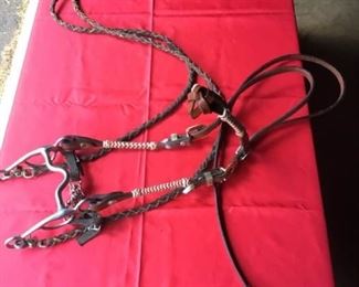Horse Bridle V
