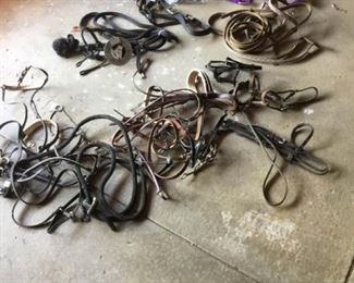 Horse Bridles VI