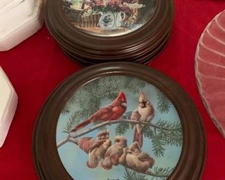 Collector Plates