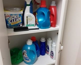 Lots of cleaning supplies