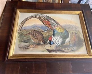 $225. 20 x 24
