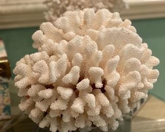 Coral on Lucite Base
