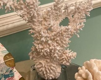 Coral on Lucite Base