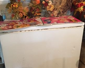 Frigidaire Freezer