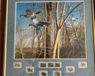 Bird Picture Collectibles