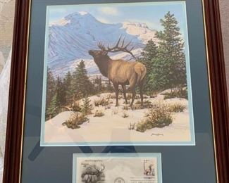 Various Wildlife Picture Set