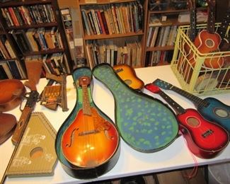 ukeleles, zither, mandolins