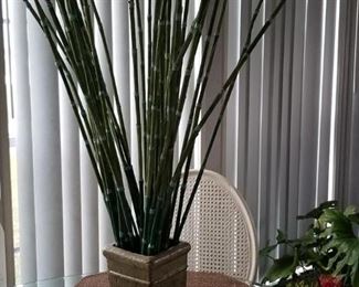 Bamboo Arrangement