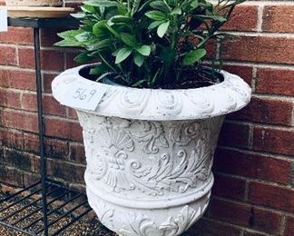 Fiberglass pot with plant 24 inches tall $45