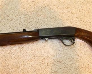VIEW 4 BROWNING 22 AUTO 