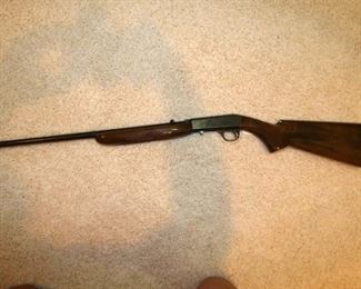 VIEW 3 BROWNING ARMS 22 