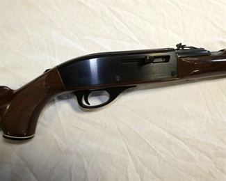 VIEW 2 CLOSEUP REMINGTON MOD. 66 22CAL  