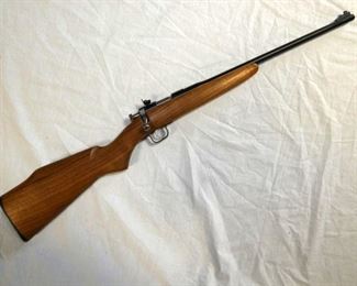 CHIPMUNK 22 SHORT OR LONG 