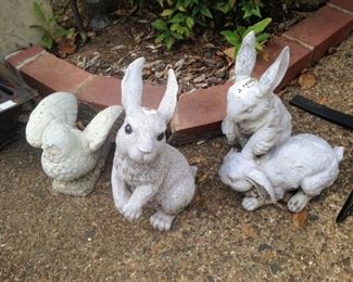 Garden bunnies