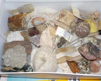 A collection of quartz and other rocks