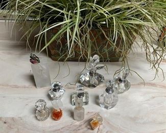 Perfume bottle collection