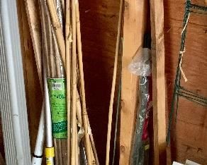 Assorted Lot of Bamboo Stakes: $6